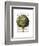 Globe Artichoke Print 2-Fab Funky-Framed Art Print