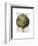 Globe Artichoke Print 2-Fab Funky-Framed Art Print