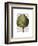 Globe Artichoke Print 2-Fab Funky-Framed Art Print