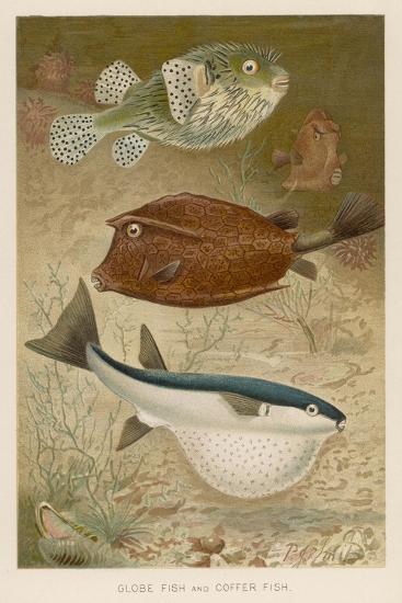 Art Print, , large