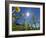 Globe flowers and bright sunshine, Augstmatthorn Mountain, Swiss Alps, Switzerland-Konrad Wothe-Framed Photographic Print