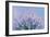 Globe Thistle Abstract-Don Paulson-Framed Giclee Print