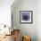 Globe Thistle-Don Paulson-Framed Giclee Print displayed on a wall