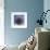 Globe Thistle-Don Paulson-Framed Giclee Print displayed on a wall