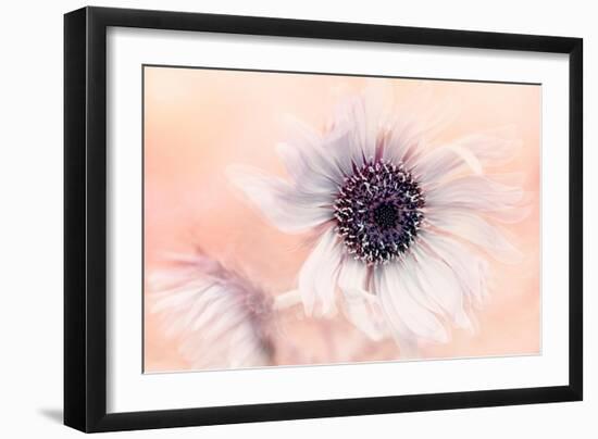 Globe Thistle-Jacky Parker-Framed Giclee Print