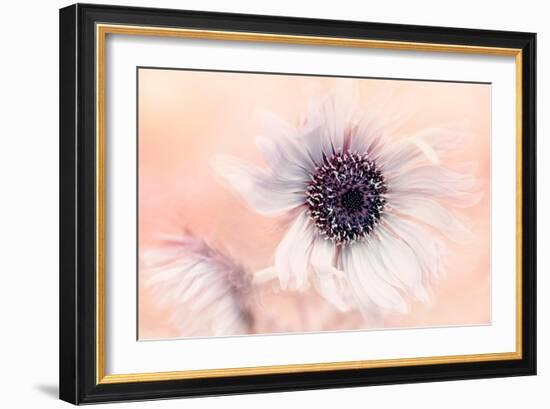 Globe Thistle-Jacky Parker-Framed Giclee Print