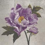 Plum Peonies 1-Gloria Eriksen-Art Print