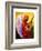 Gloria in Excelcis Deo, 2011-Patricia Brintle-Framed Giclee Print