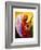 Gloria in Excelcis Deo, 2011-Patricia Brintle-Framed Giclee Print