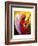 Gloria in Excelcis Deo, 2011-Patricia Brintle-Framed Giclee Print