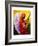 Gloria in Excelcis Deo, 2011-Patricia Brintle-Framed Giclee Print