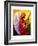 Gloria in Excelcis Deo, 2011-Patricia Brintle-Framed Giclee Print