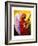 Gloria in Excelcis Deo, 2011-Patricia Brintle-Framed Giclee Print