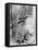Gloria Swanson-null-Framed Premier Image Canvas
