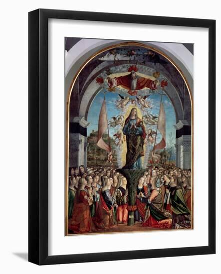 Glorification of St. Ursula and Her Companions-Vittore Carpaccio-Framed Giclee Print