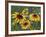 Gloriosa Daisy, Oldham County, Kentucky, USA-Adam Jones-Framed Photographic Print