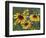 Gloriosa Daisy, Oldham County, Kentucky, USA-Adam Jones-Framed Photographic Print