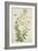 Gloriosa Superba Linn, 1800-10-null-Framed Giclee Print