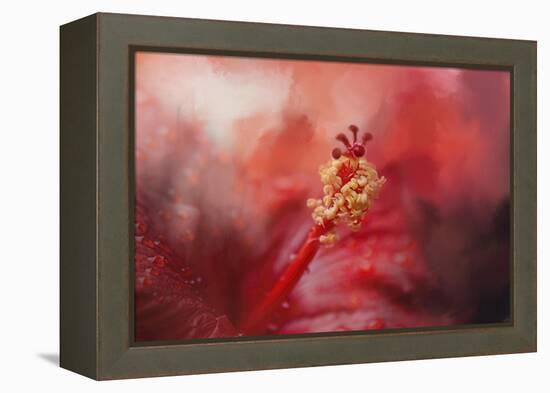 Glorious Bloom-Jai Johnson-Framed Premier Image Canvas