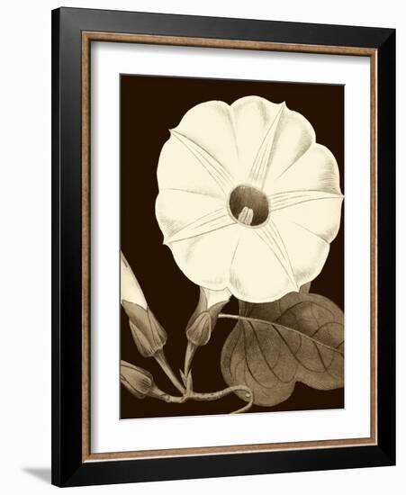 Glorious Blooms I-Vision Studio-Framed Art Print