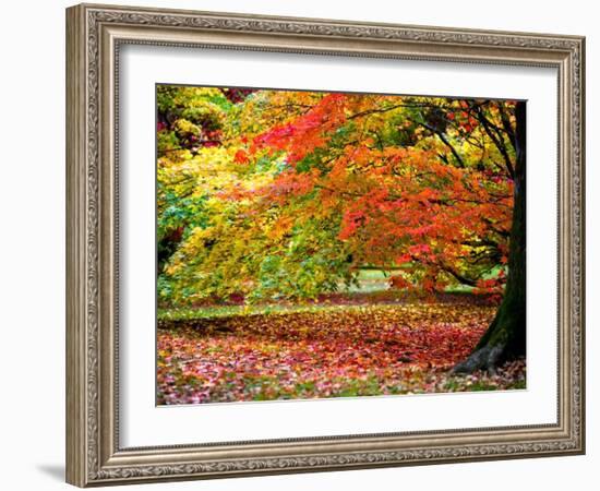 Glorious Conclusion-Doug Chinnery-Framed Photographic Print