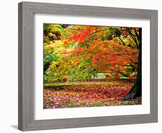 Glorious Conclusion-Doug Chinnery-Framed Photographic Print