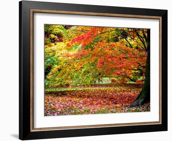 Glorious Conclusion-Doug Chinnery-Framed Photographic Print