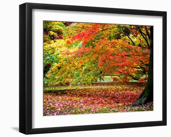 Glorious Conclusion-Doug Chinnery-Framed Photographic Print