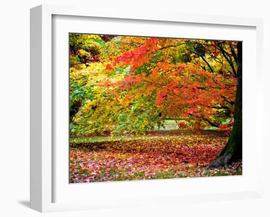 Glorious Conclusion-Doug Chinnery-Framed Photographic Print