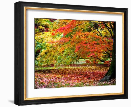 Glorious Conclusion-Doug Chinnery-Framed Photographic Print