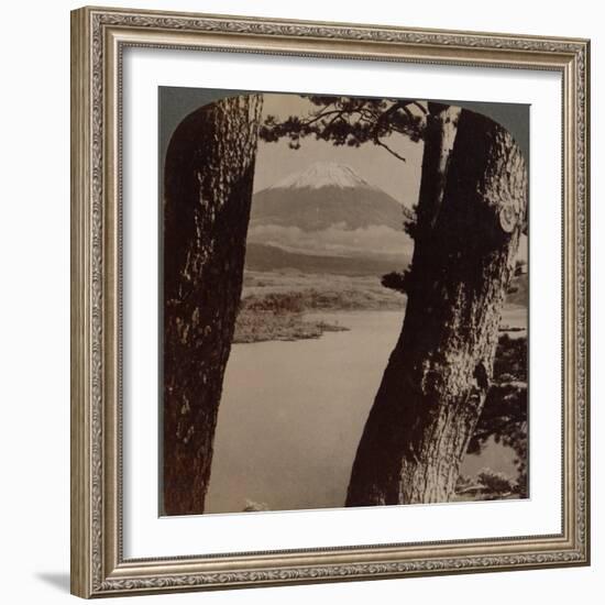 'Glorious Fuji, beloved by artists and poets, seen through pines at Lake Motosu, Japan', 1904-Unknown-Framed Photographic Print