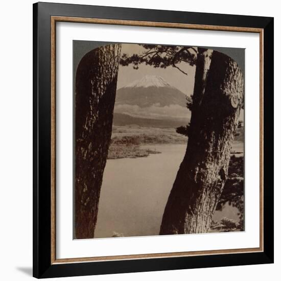 'Glorious Fuji, beloved by artists and poets, seen through pines at Lake Motosu, Japan', 1904-Unknown-Framed Photographic Print