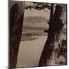 'Glorious Fuji, beloved by artists and poets, seen through pines at Lake Motosu, Japan', 1904-Unknown-Mounted Photographic Print