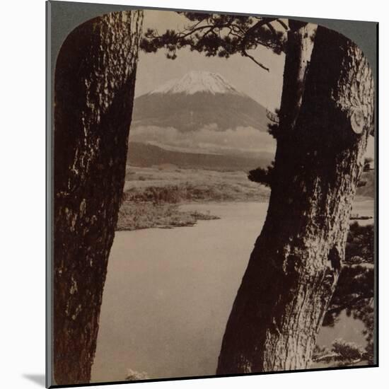 'Glorious Fuji, beloved by artists and poets, seen through pines at Lake Motosu, Japan', 1904-Unknown-Mounted Photographic Print