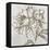 Glorious Peony II-Eva Watts-Framed Stretched Canvas