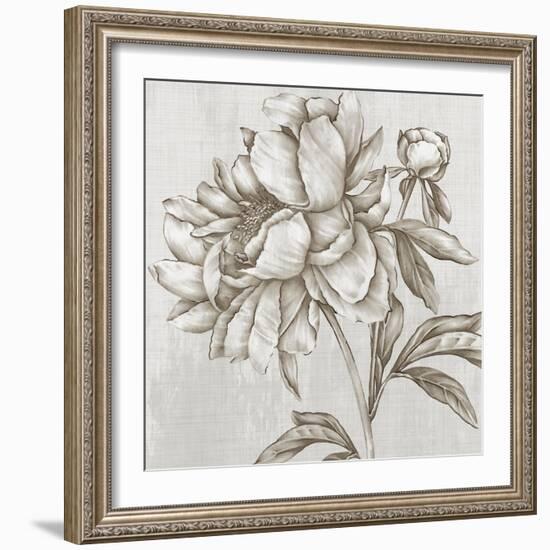 Glorious Peony II-Eva Watts-Framed Art Print