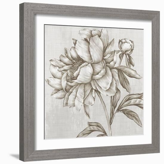 Glorious Peony II-Eva Watts-Framed Art Print