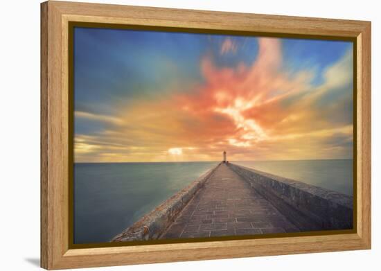 Glorious-Viviane Fedieu Daniel-Framed Premier Image Canvas