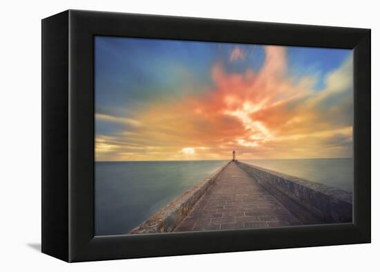 Glorious-Viviane Fedieu Daniel-Framed Premier Image Canvas