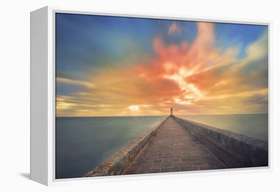 Glorious-Viviane Fedieu Daniel-Framed Premier Image Canvas