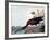 Glossy Ibis-John James Audubon-Framed Premium Giclee Print