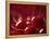 Glossy Red Cherries-Steve Lupton-Framed Premier Image Canvas