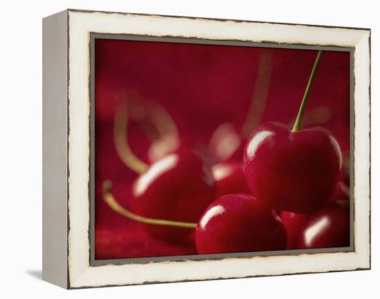 Glossy Red Cherries-Steve Lupton-Framed Premier Image Canvas