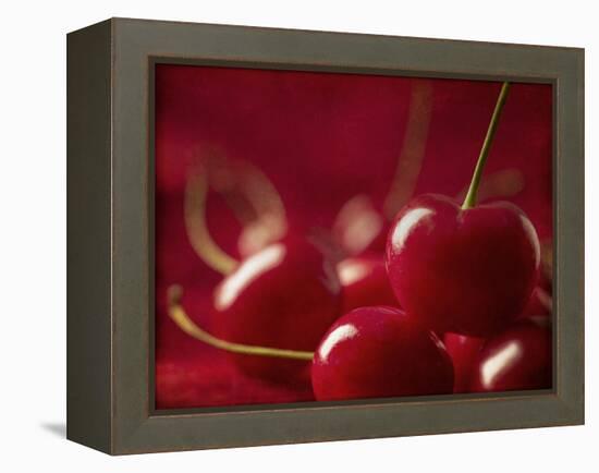 Glossy Red Cherries-Steve Lupton-Framed Premier Image Canvas