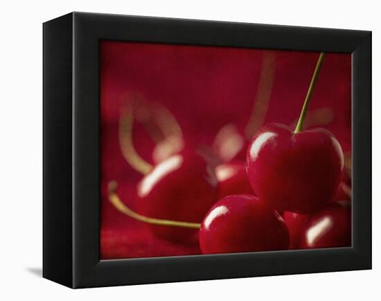 Glossy Red Cherries-Steve Lupton-Framed Premier Image Canvas