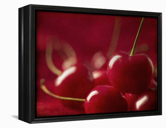 Glossy Red Cherries-Steve Lupton-Framed Premier Image Canvas