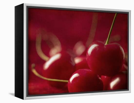 Glossy Red Cherries-Steve Lupton-Framed Premier Image Canvas