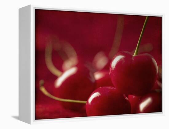 Glossy Red Cherries-Steve Lupton-Framed Premier Image Canvas