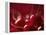 Glossy Red Cherries-Steve Lupton-Framed Premier Image Canvas