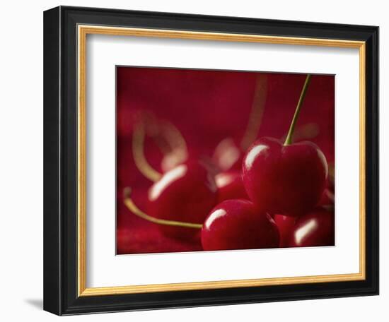 Glossy Red Cherries-Steve Lupton-Framed Photographic Print